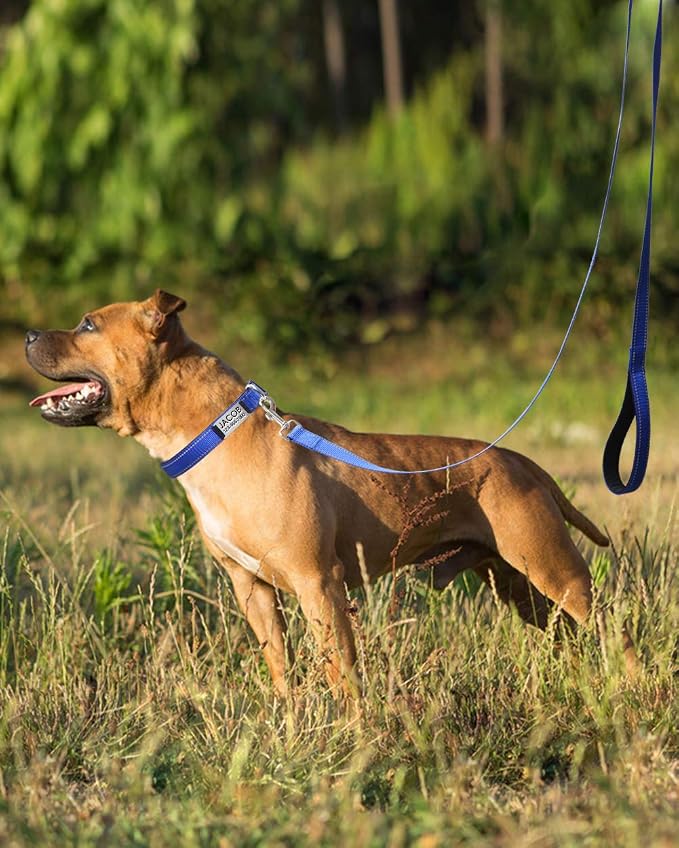 Joytale Dog Harness (Chest: 15-34"), Dog Collar and 6FT x 1" Wide Dog Leash Set, Reflective Neoprene Padded Collar and Leash, and Adjustable Soft Harness with Handle for Dogs