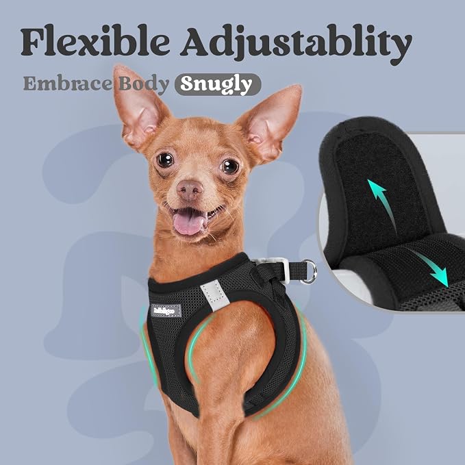 rabbitgoo Step-in Small Dog Harness, Puppy Vest for Small Sized Pet | Easy Put on and off, Lightweight, Soft, Breathable Quick-Dry Air Mesh for Comfortable Secure Walking, Black S