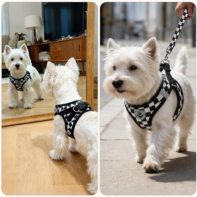 PUPTECK Adjustable Dog Harness Collar and Leash Set Step in No Pull Pet Harness for Small Medium Dogs Puppy and Cats Outdoor Walking Running, Checkered Black&White S
