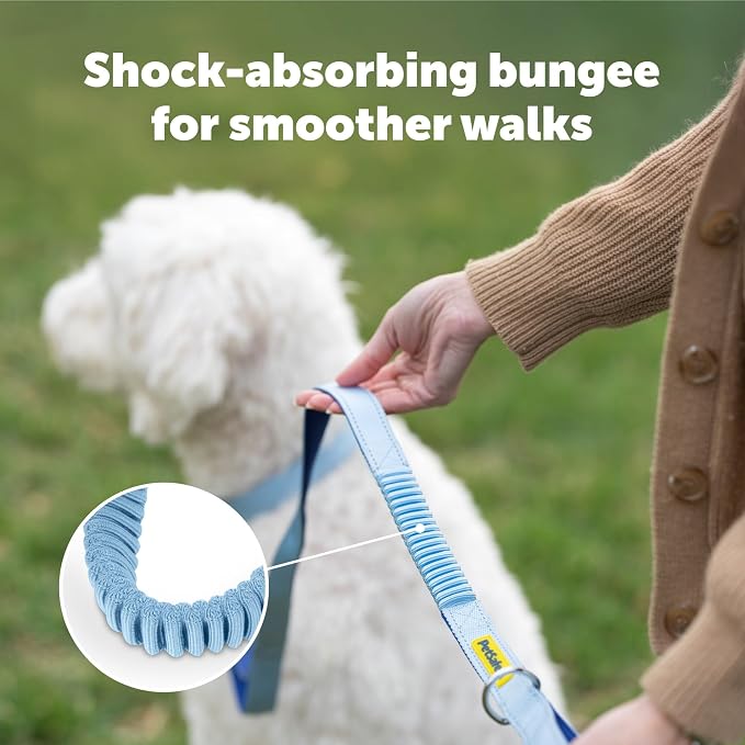 PetSafe Comfort 4 ft Bungee Dog Leash, Green | Shock-Absorbing Bungee Flexes on Pulls, Dual Handles for Control, Reflective Stitching, Built-in D-Ring for Off-Leash Storage