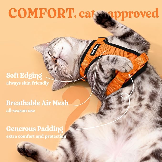 rabbitgoo Cat Harness and Leash Set, Escape Proof Vest, Orange | Soft Breathable Mesh, Easy Adjustable Fit, Snap Buckles, Sturdy Clip, Reflective Strips, for Small & Average Cats Walks, Xs