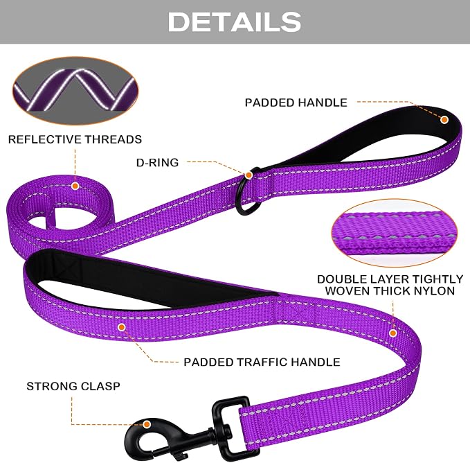 Joytale Martingale Dog Collar(16-20"), 6FT Double Handle Dog Leash for Training,Purple
