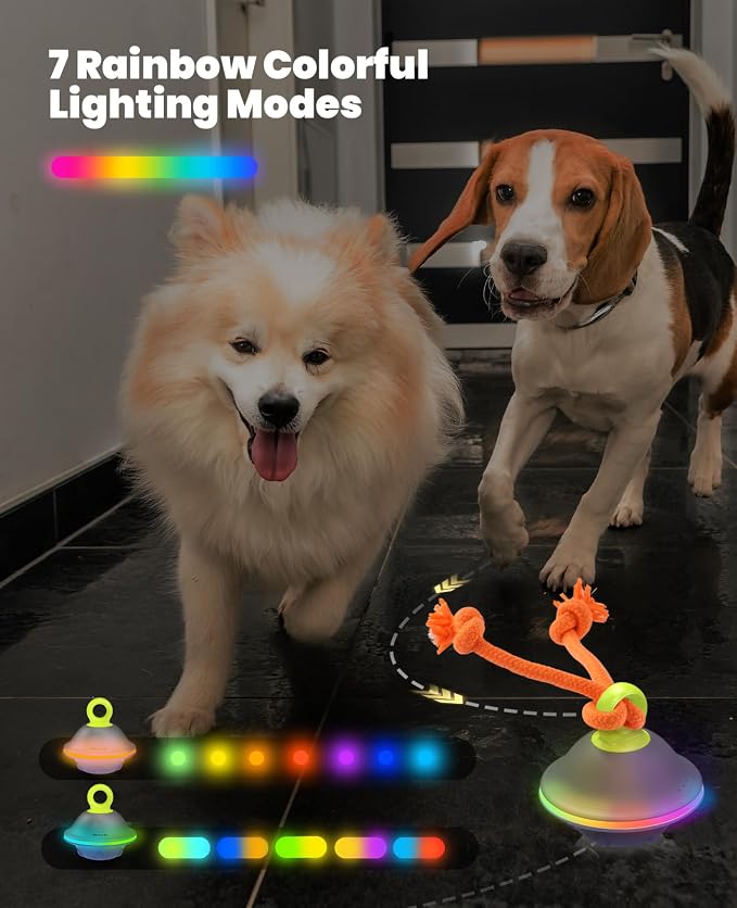 Xeuch Interactive Dog Ball with Rope, Motion Activated Moving Rolling Toy | 3 play modes, voice recording, 7 LED lights, silicone shell, Type-C rechargeable, 4-hour playtime for small and medium dogs