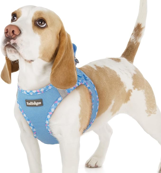 rabbitgoo Step-in Small Dog Harness, Puppy Vest for Small Sized Pet | Easy Put on and off, Lightweight, Soft, Breathable Quick-Dry Air Mesh for Comfortable Secure Walking, Blue & Plaid Trim M