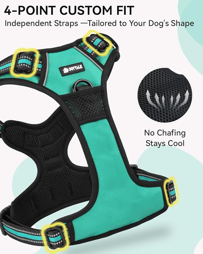 Joytale No Pull Dog Harness & Seat Belt, Easy On 3-Buckle, L, Teal | Front Clip Reduces Pulling, Escape-Resistant Design, Adjustable Fit, Soft Padding for Comfort, Secure Tether for Safer Travel
