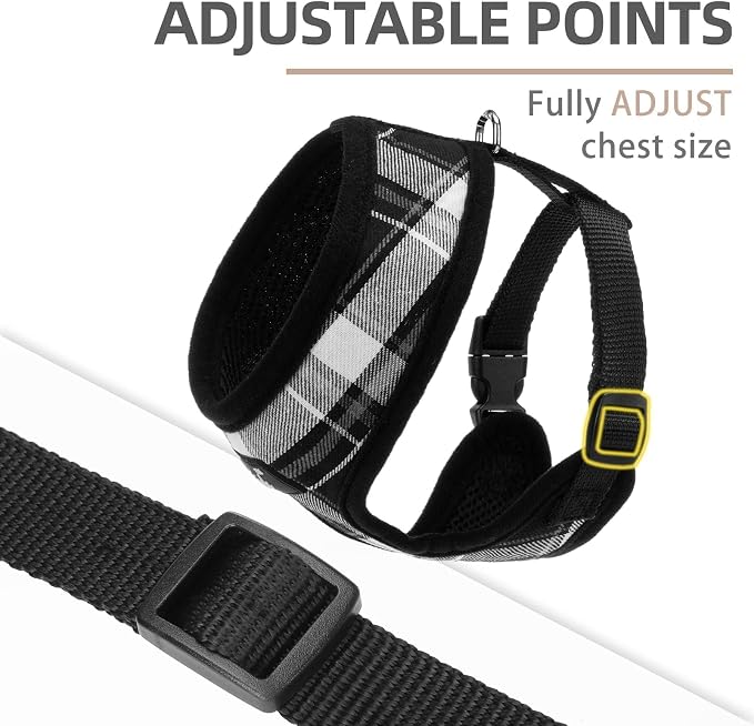 PUPTECK Soft Mesh Dog Harness and Leash Set Pet Puppy Cat Comfort Padded Vest No Pull Harnesses, Black, XS