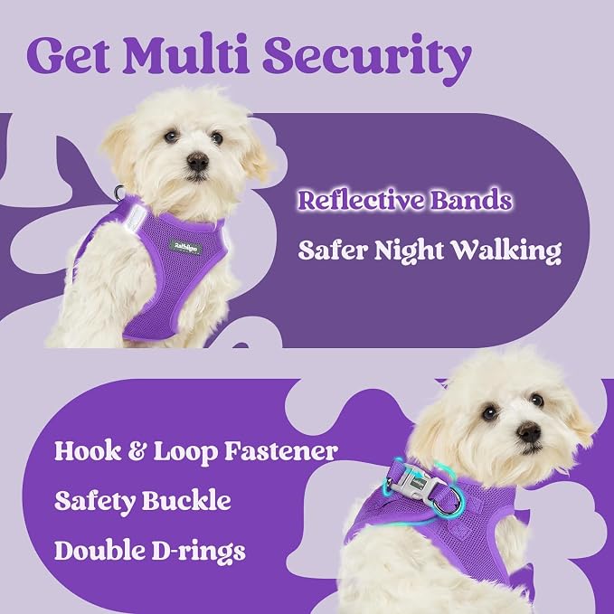 rabbitgoo Step-in Small Dog Harness, Puppy Vest for Small Sized Pet | Easy Put on and off, Lightweight, Soft, Breathable Quick-Dry Air Mesh for Comfortable Secure Walking, Purple S