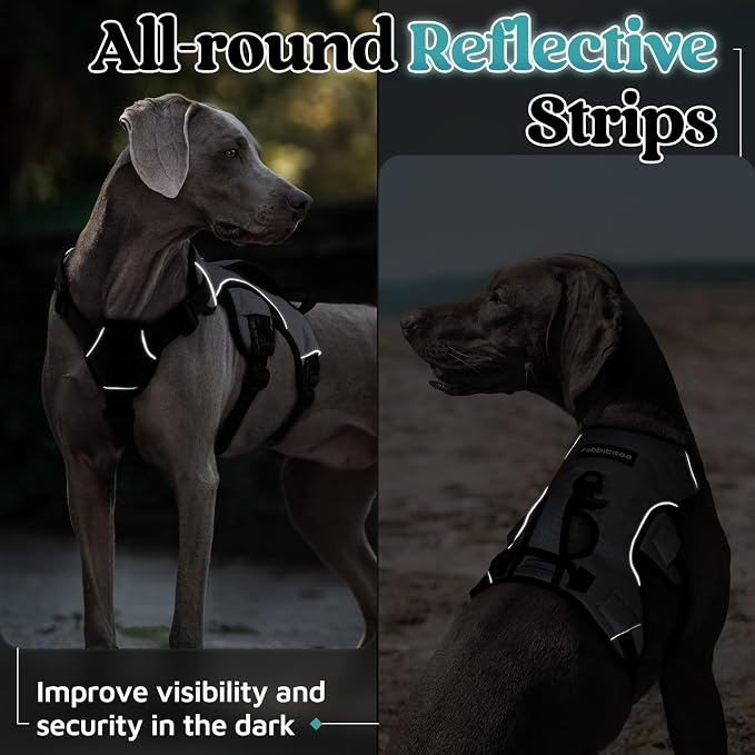 rabbitgoo Escape Proof Dog Harness for X-Large, No Pull with Lift Handle | No Escape, Full Soft Padded, Reflective Adjustable Vest, Leash Clip for Walking Hiking Training, Grey, X-Large