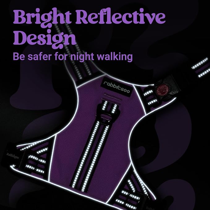 rabbitgoo Large Dog Harness, Easy Wear with 3 Buckles and Lift Handle | No Pull with Front Clip for Walking, Adjustable Soft Padded, Reflective, Easy Control, Purple, X-Large