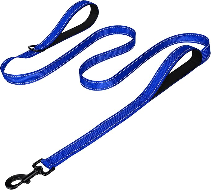 Joytale Dog Leash for Large Dogs that Pull, Double Handle, 5FT, Royal Blue | Traffic Handle for Control, Padded Handle Reduces Hand Strain, Reflective Stitching for Night Safety, Strong Nylon Webbing