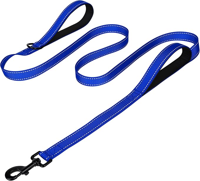 Joytale Dog Leash for Large Dogs that Pull, Double Handle, 4FT, Royal Blue | Traffic Handle for Control, Padded Handle Reduces Hand Strain, Reflective Stitching for Night Safety, Strong Nylon Webbing