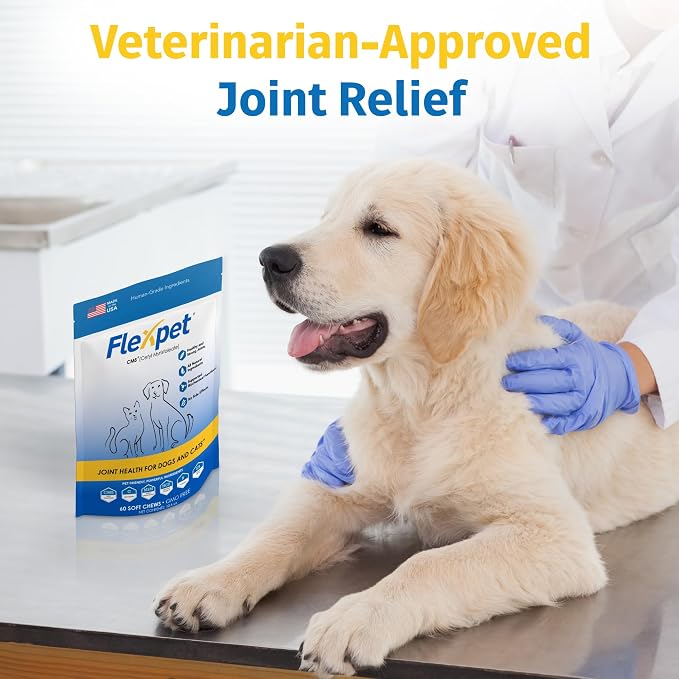 Hip & Joint Supplement for Dogs & Cats with Cetyl Myristoleate, Glucosamine, Collagen, MSM - Max Strength Joint Support for Mobility, Senior Pets, Large Breeds - 180 Soft Chews (Bacon/Cheese)