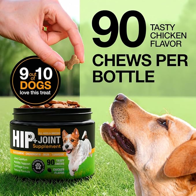 Hip and Joint Supplement for Dogs with Glucosamine, Chondroitin & MSM