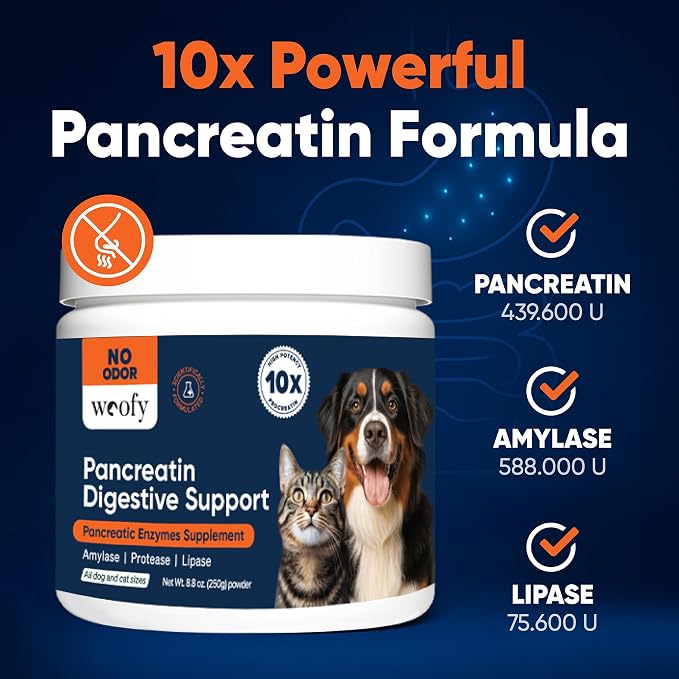 Woofy Pancreatin Digestive Support | Pancreatic Digestive Enzymes | 10x Pancreatin | No Odor | Pancreatin for Dogs and Cats | Pancreatic Enzyme | Great for Pets with EPI | 250 Grams