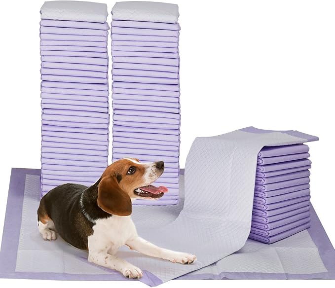 Petphabet 100 Pack Dog Pee Pads 23 by 24 Inches,Lavender Scented Dog Training Pads with Attractant