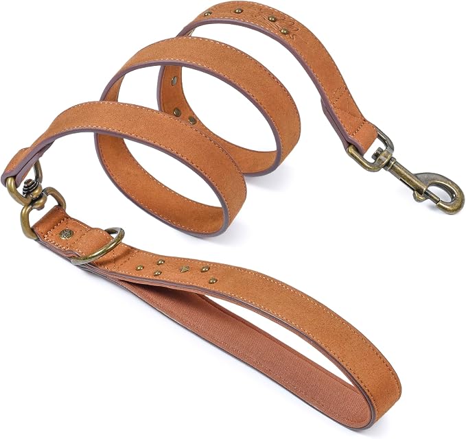 Blueberry Pet Premium Embossed Microfiber Leather Dog Leash with Decorative Studs in Saddle Brown