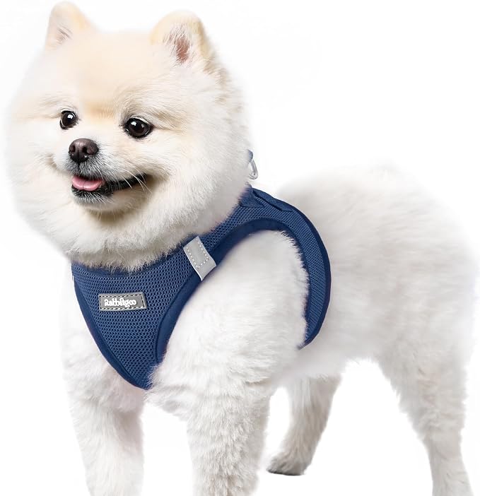 rabbitgoo Step-in Small Dog Harness, Puppy Vest for Small Sized Pet | Easy Put on and off, Lightweight, Soft, Breathable Quick-Dry Air Mesh for Comfortable Secure Walking, Navy Blue S