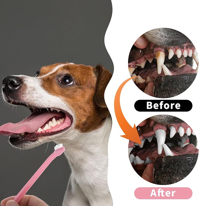 Mozeat Lens 8 Pack Small Dog Toothbrush Cat Toothbrush Pet Toothbrush Mini Head Soft Dog Cat Tooth Brush for Sensitive Puppy, Kitten, Cats & Small Breed Dogs, Portable Travel Friendly and Easy to Use