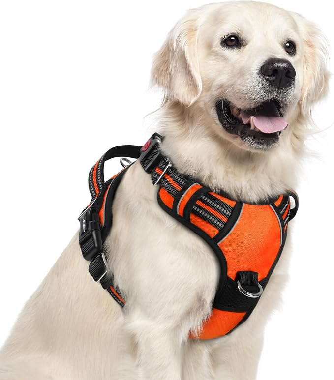 rabbitgoo Dog Harness for Large, No Pull 3 Buckles Easy On & Off | Soft Padded, Walking with Control Handle, Adjustable and Reflective, Orange, X-Large