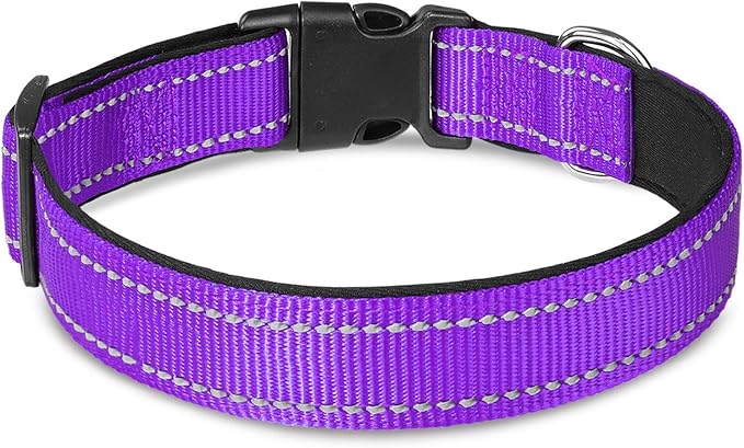 Joytale Dog Collar Bundle with 5FTx3/4 Width Double-Sided Reflective Dog Leash,5FT Nylon Dog Leashes with Nylon Dog Collar for Small Dogs,Purple