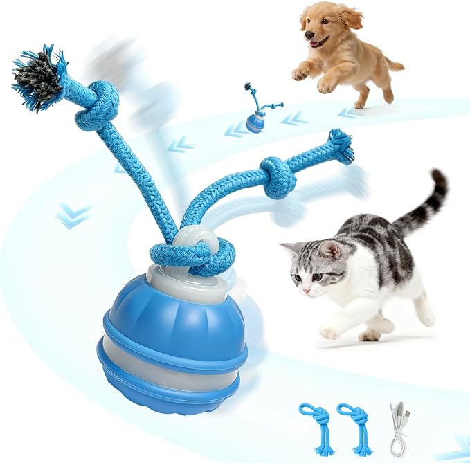 Interactive Dog & Cat Toy, Auto Chirping Ball, Rechargeable Self Play | Motion activated, chirp sound, USB-C fast charge, durable, indoor play, boredom relief for small dog & cat blue