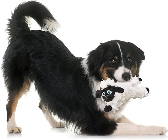 SPOT Baa Baa Black Sheep Plush Dog Toy - Cute and Cuddly Fleece Toy with Squeaker for Small Dogs and Puppies, 8in Black and White Lamb