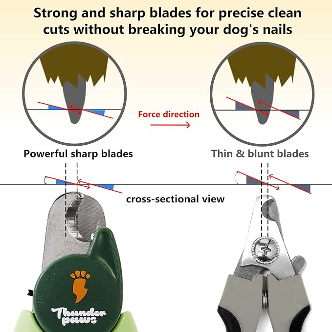 Professional-Grade Nail Clippers for Dogs - Green, Medium-Large
