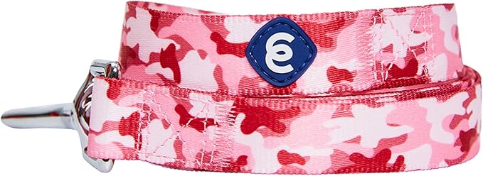 Blueberry Pet Essentials Pink Camo Print Camouflage Dog Leash, 5 ft x 3/4", Medium, Leashes for Dogs