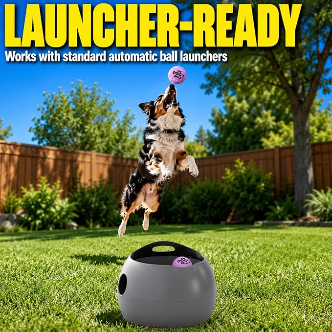 The Dog's Balls Dog Tennis Balls Tough 2.5" 12-Pack Purple Floats in Water | Our fetch balls combine non-abrasive felt exterior and a thicker rubber core Durable Dog Toy for Outdoor Play & Training