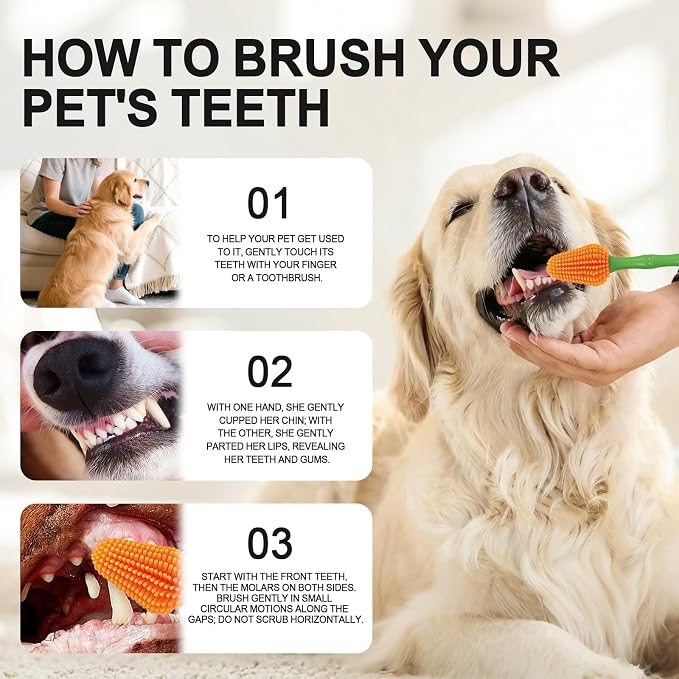 HOP Dog Toothbrush Orange 360° Soft Silicone Bristles Dog Toothbrush Full-Angle Dental Cleaning Green Bamboo-Shaped Long Handle Pet Dental Care for Dogs 6.89in/17.5cm
