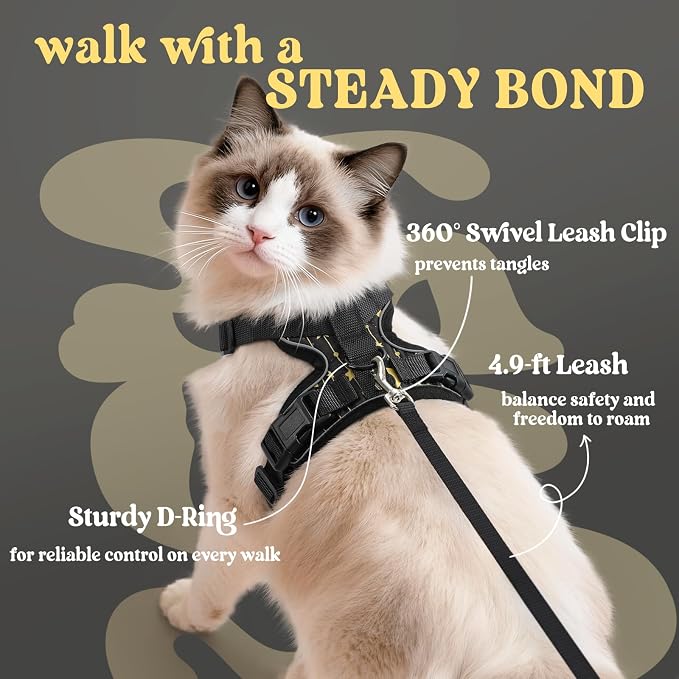rabbitgoo Cat Harness and Leash Set, Escape Proof Vest, Lunar Prowl | Soft Breathable Mesh, Easy Adjustable Fit, Snap Buckles, Sturdy Clip, Reflective Strips, for Kittens & Small Cats Walks, Xxs