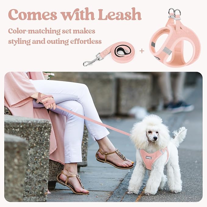 rabbitgoo Dog Harness Medium Sized and Leash Set, Step-in Puppy Pet Vest | Light, Soft, Breathable Air Mesh, Easy on and Remove with Hook & Loop, Secure Reflective for Walking, Pink L