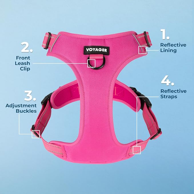 Voyager Dual Attachment No Pull Harness - Fuchsia, Large | 25 - 30" in Chest, No Pull Dog Harness, Fully Adjustable, 3M Reflective Technology, Front & Back D-Rings, Walking & Training