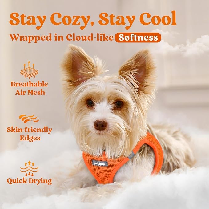 rabbitgoo Step-in Small Dog Harness, Puppy Vest for Small Sized Pet | Easy Put on and off, Lightweight, Soft, Breathable Quick-Dry Air Mesh for Comfortable Secure Walking, Orange S