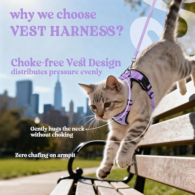 rabbitgoo Cat Harness and Leash Set, Escape Proof Vest, Light Purple | Soft Breathable Mesh, Easy Adjustable Fit, Snap Buckles, Sturdy Clip, Reflective Strips, for Medium to Large Cats Walks, M