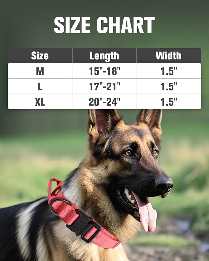 Joytale Tactical Dog Collar(17"-21") and Dog Leash Set, Shock Absorbing Bungee Dog Leash and Adjustable Strong Dog Collar with Handle for Large Dogs(Hotpink, L)