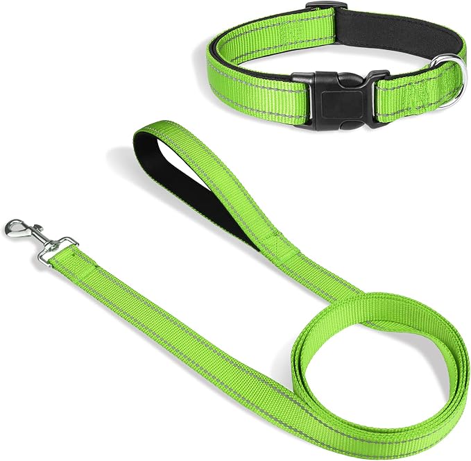Joytale 12-16 inches Dog Collar and 6FT Leash, Reflective Soft Neoprene Padded Pet Collars and Leashes for Small Dog