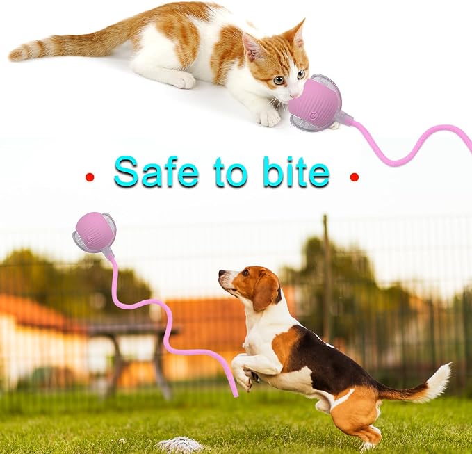 Interactive Cat Dog Toy Ball: Indoor Automatic Moving Smart Rolling Fun Pet Game with Led Light and Tail for Motion Activated, Kitten Puppy Present, Chase Exercise, Hunting Simulation-Upgrade (Pink)