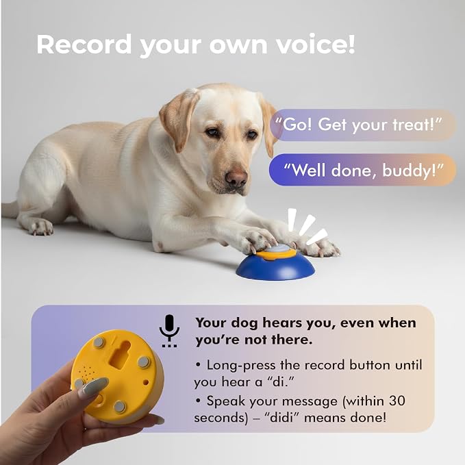 Interactive Dog Puzzle Feeder Toy
