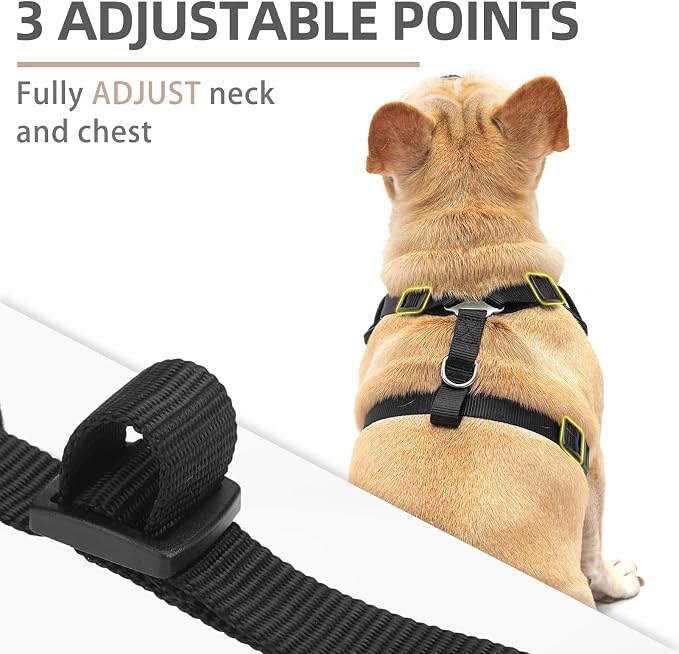 PUPTECK Small Dog Harness and Leash Set, No Pull Adjustable Puppy Cat Harness, Reflective Soft Mesh Pet Vest Small Sized, Black, L