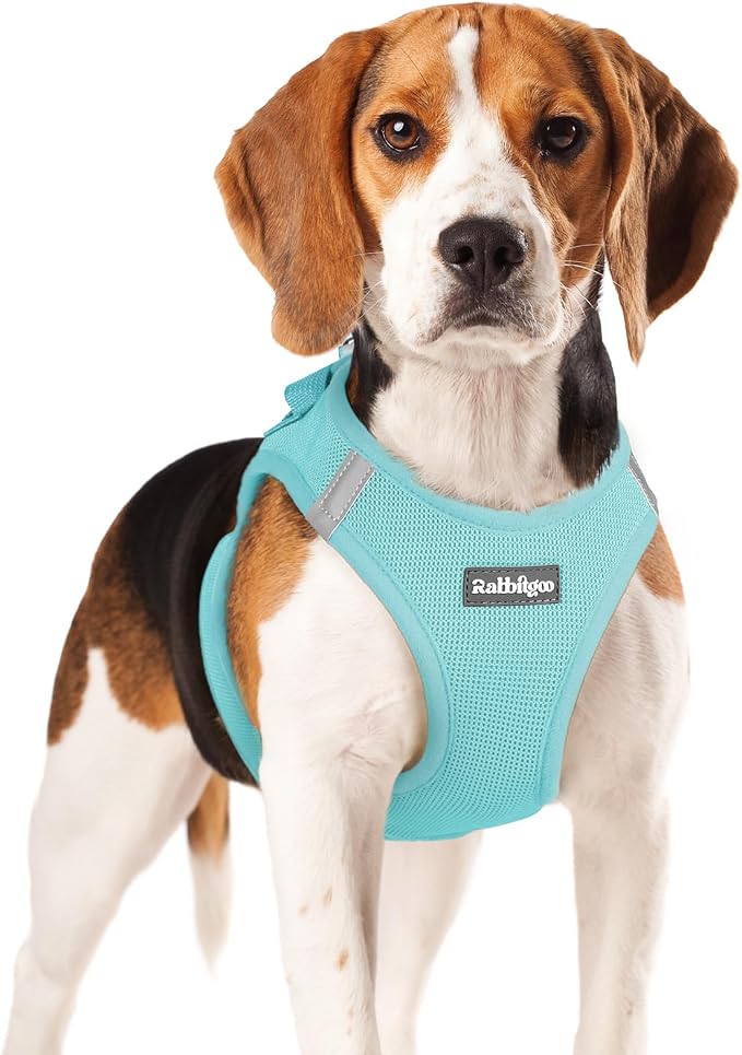 rabbitgoo Step-in Small Dog Harness, Puppy Vest for Small Medium Sized Pet | Easy Put on and off, Lightweight, Soft, Breathable Quick-Dry Air Mesh for Comfortable Secure Walking, Mint Blue XL