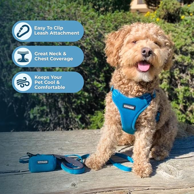 Voyager Step-in Flex Adjustable Dog Harness - Turquoise, Small | 15 - 18" in Chest, Fully Adjustable, Reflective Bands, All Weather Breathable Air Mesh, Lightweight, Fast Drying