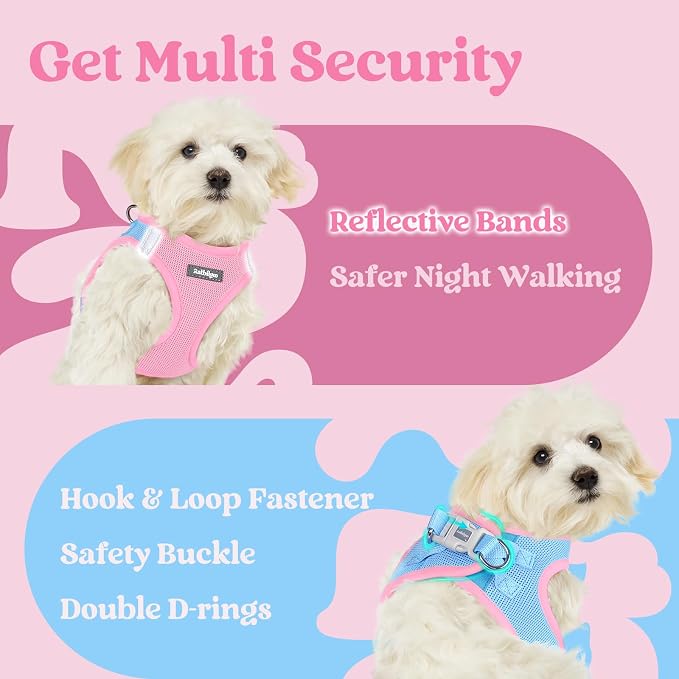 rabbitgoo Step-in Small Dog Harness, Puppy Vest for Small Sized Pet | Easy Put on and off, Lightweight, Soft, Breathable Quick-Dry Air Mesh for Comfortable Secure Walking, Blue & Light Pink S