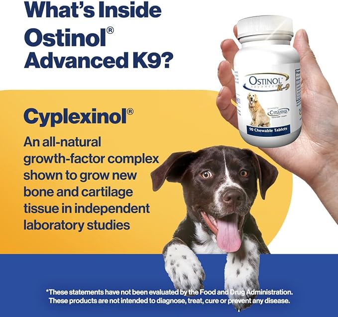 ZyCal Ostinol Advanced K-9 Joint Supplement for Dogs – Bioactive Protein Complex with Cyplexinol® Pro 50mg | Bone & Joint Dog Supplement | 90 Chewable Bone-Shaped Tablets