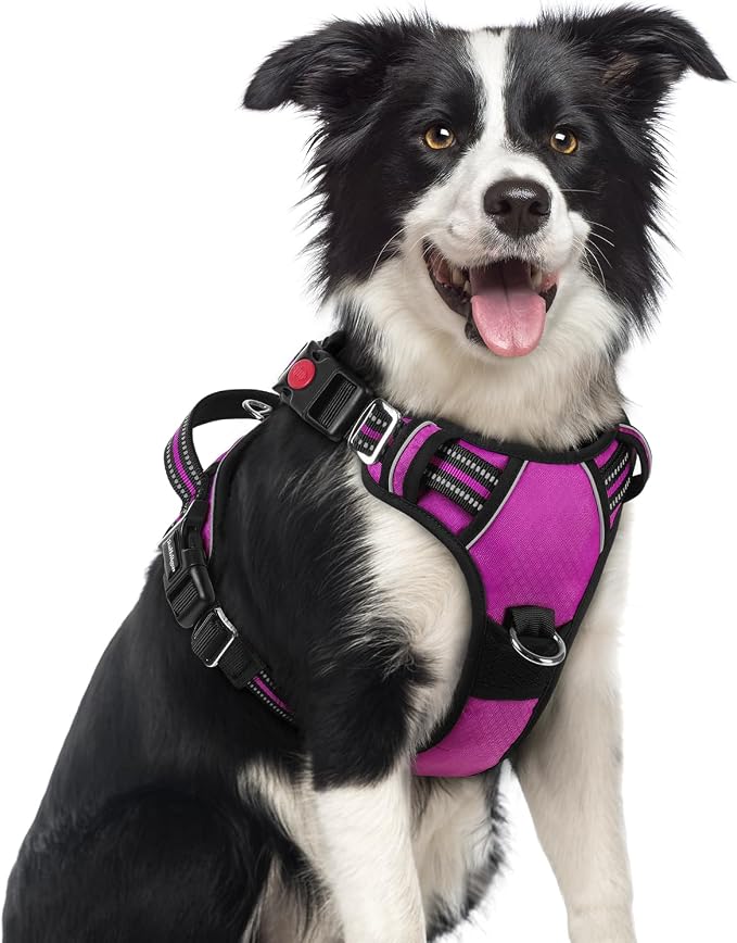 rabbitgoo Dog Harness Medium Sized, No Pull 3 Buckles Easy On & Off | Soft Padded, Walking with Control Handle, Adjustable and Reflective, Purple, Medium