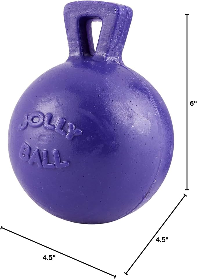 Tug-N-Toss Ball Color: Purple, Size: 6" H x 4.5" W x 4.5" D