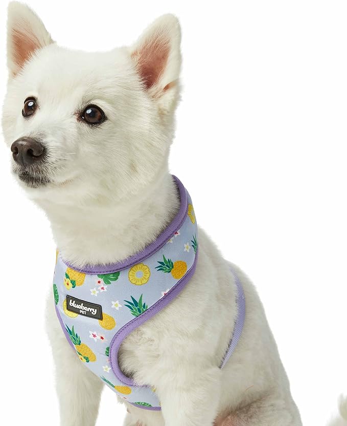 Blueberry Pet Soft & Comfy Nutritious Pineapple Dog Harness Vest, Chest Girth 13" - 16", X-Small, Adjustable Harnesses for Dogs