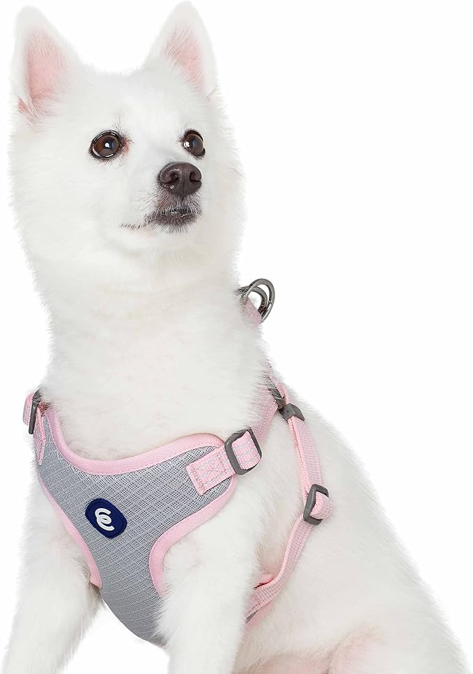 Blueberry Pet Essentials Back to Basics Reflective Dog Harness Vest, Candy Pink, Large, Adjustable Harnesses for Dogs