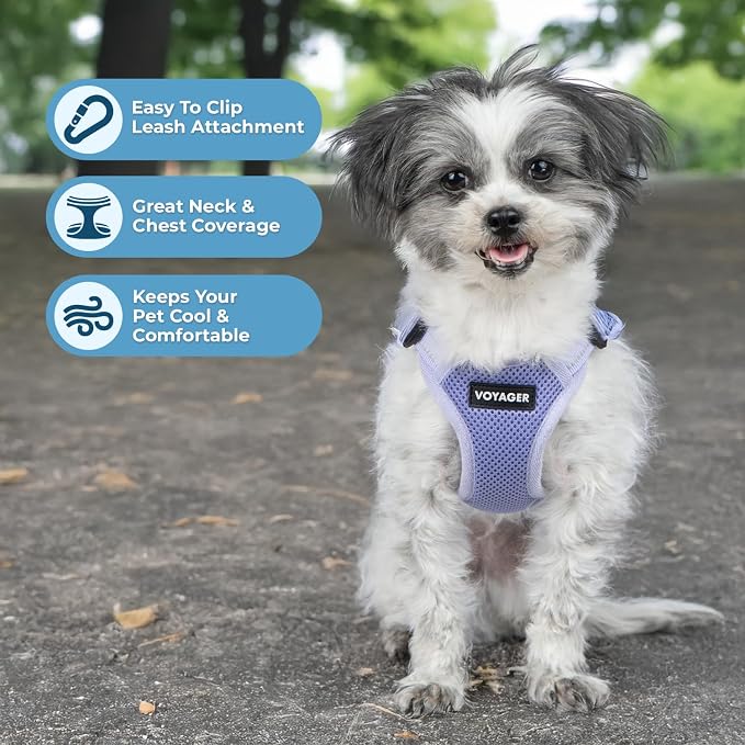 Voyager Step-in Flex Adjustable Dog Harness - Lavender, Large | 20 - 25" in Chest, Fully Adjustable, Reflective Bands, All Weather Breathable Air Mesh, Lightweight, Fast Drying