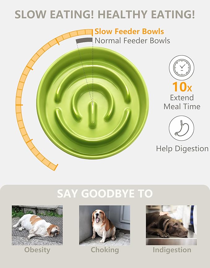 Ceramic Slow Feeder Dog Bowls, 2.0 Cups Slow Feeder for Medium Dogs, Puzzle Maze Bowl to Slow Down Eating, 30oz, 8in, Green